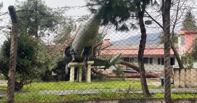 Üzerine ağaç düşen uçak zarar gördü Denizli Haberleri