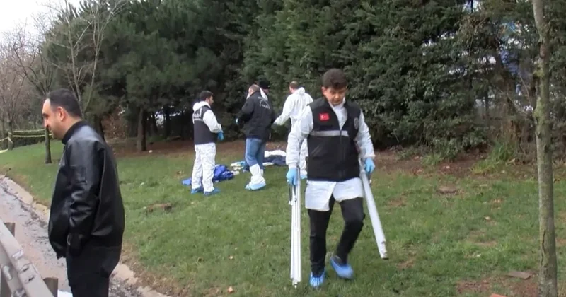 İstanbul da dehşet: TEM yolunun kenarında bebek cesedi bulundu Sözcü Gazetesi