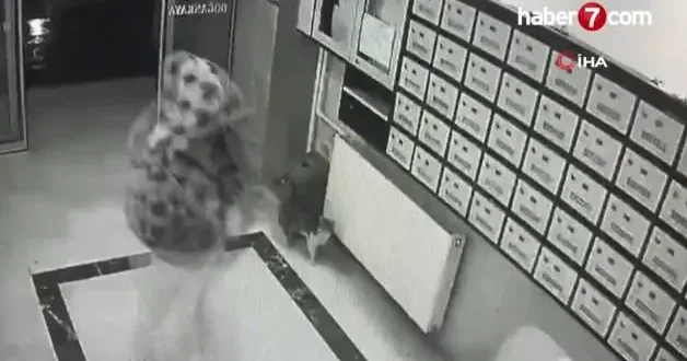 Ankara da sahte sevgili çetesine operasyon! 23 şüpheli yakalandı