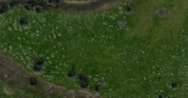 Kızılırmak Deltası Kuş Cenneti baharın gelişiyle canlandı VİDEO İZLE