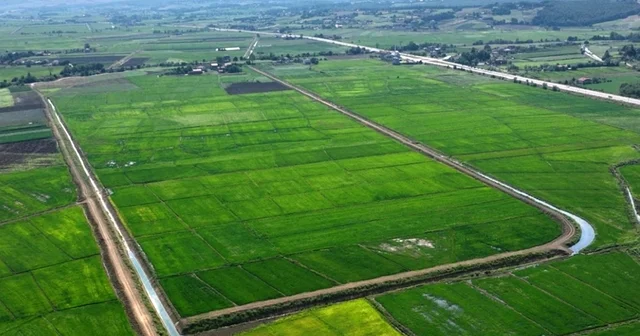Samsun da bozulan tarım arazileri cezasız kalmadı: 48 işlem uygulandı Samsun Haberleri