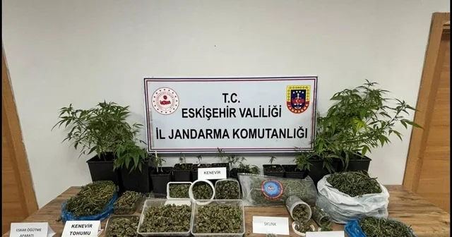 Ormanda uyuşturucu ticaretine jandarma engeli: 1 tutuklama Eskişehir Haberleri