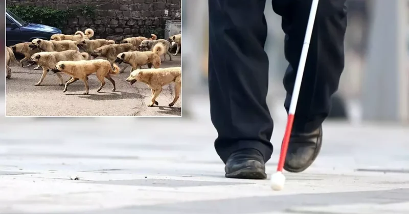 Belediye başkan yardımcısından görme engelli vatandaşa şok cevap