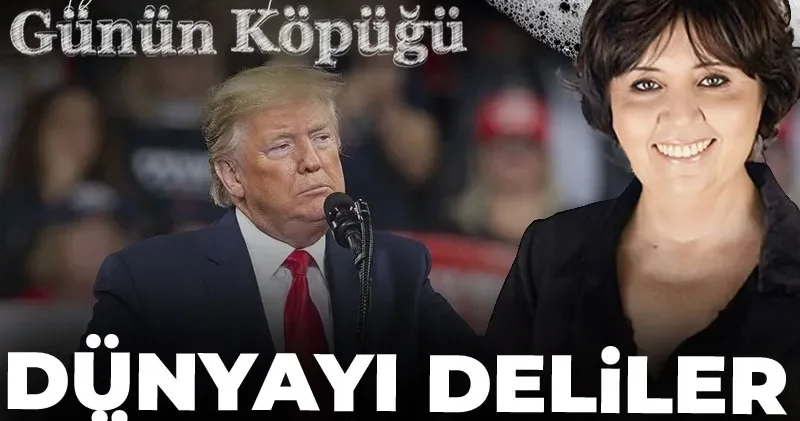 Dünyayı Deliler Yönetiyorsa