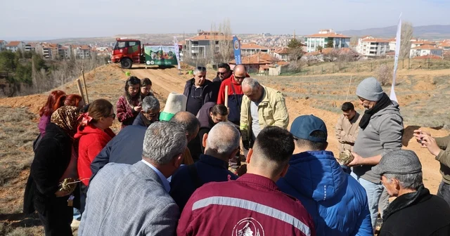 Çanakkale şehitleri için 438 fidan toprakla buluştu Kırşehir Haberleri