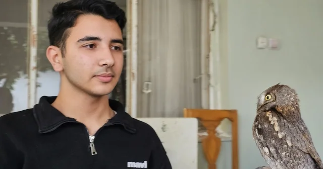 14 yaşındaki Berk, yaralı bulduğu İshak kuşunun yaşama tutunmasını sağladı Hatay Haberleri