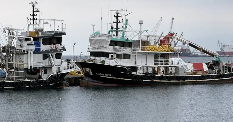 Marmara da balık yok denecek kadar az, limanlar dolup taşmıyor: Sezon erken kapandı