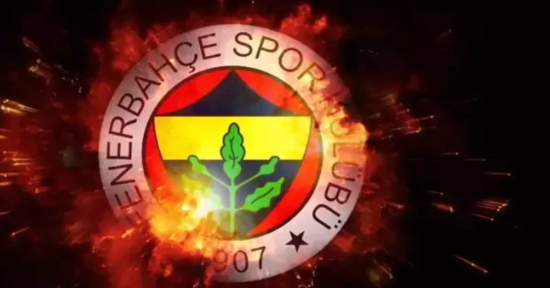 Fenerbahçe orta sahasını Almanya da buldu!