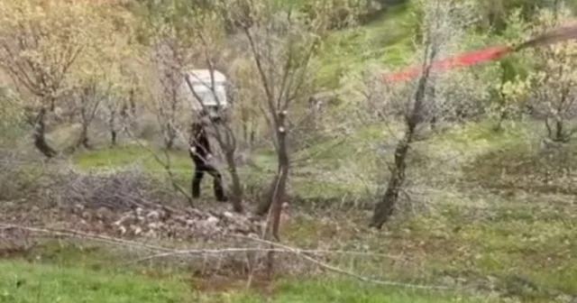 Siirt te el freni çekilmeyen kamyonet uçuruma yuvarlandı Siirt Haberleri