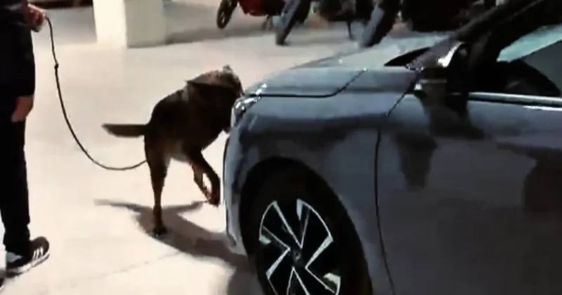 Çanakkale’de farklı suçlardan aranması bulunan 97 kişi yakalandı