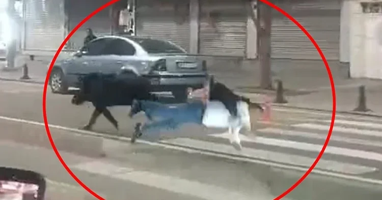 Kent merkezine indi, vatandaşlara saldırdı: 3 kişi yaralandı