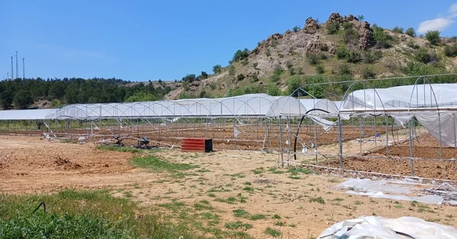 Sarıcakaya da seraya zarar verdiği iddia edilen zanlı aranıyor Eskişehir Haberleri