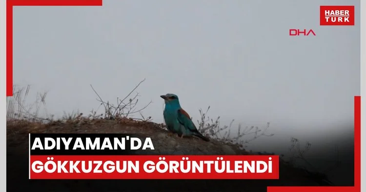 Adıyaman da gökkuzgun görüntülendi