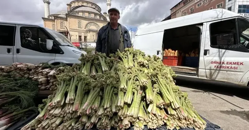 Kilogramı 150 TL ye dayandı! Yüz güldüren hasat