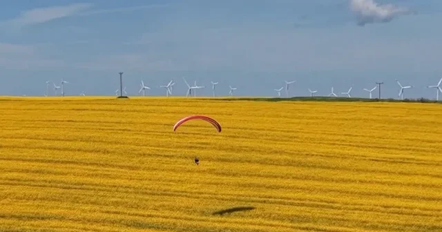 Tekirdağ’da paramotorla kanola tarlası üzerinde uçuş yapıldı VİDEO İZLE