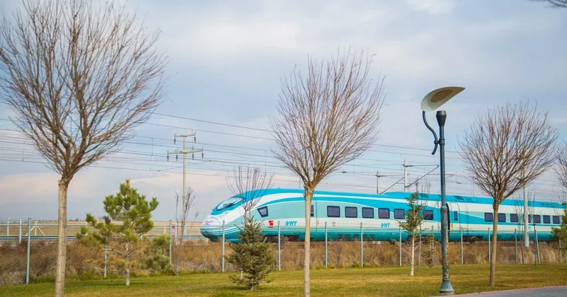 Demiryollarında yeşil dönüşüm…Yolcu taşıma platformu ile 3 bin ağacın kesilmesi önlendi