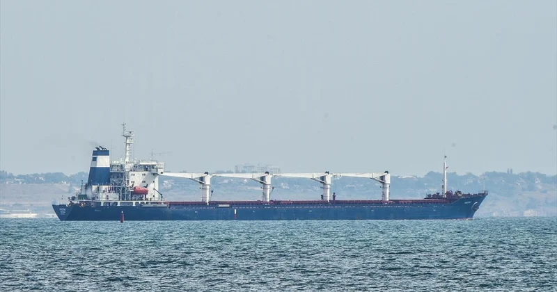 AB: Ukrayna dan çalınan tahıl nedeniyle üçüncü ülkelere yaptırım uygulayabiliriz