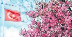 YÜKSEL AYTUĞ Ülkeme gerçekten bahar geldi