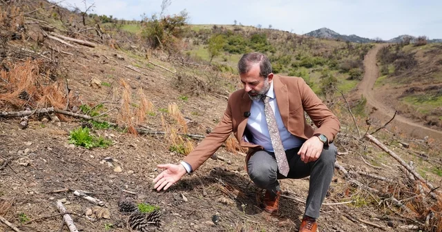 Başkan Işık tan yeşil Gürsu çağrısı Bursa Haberleri