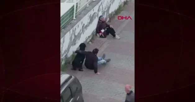 Ümraniye’de ağızlıksız gezdirilen rottweiler, küçük ırk köpeğe saldırdı