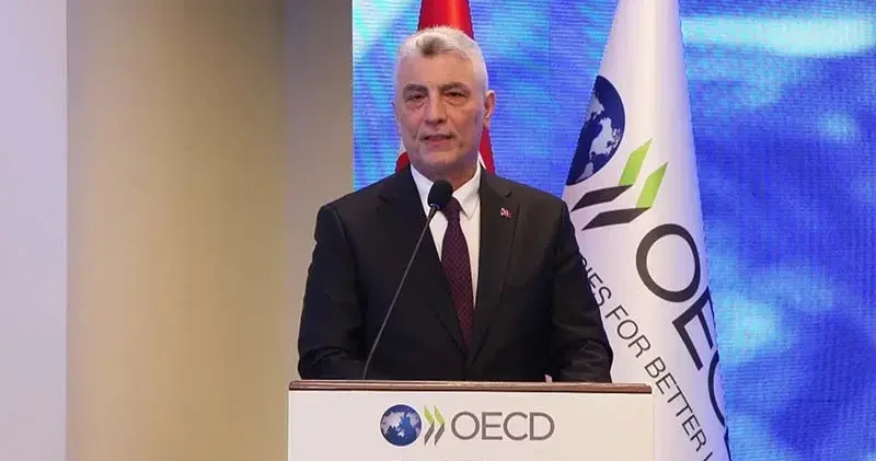 Bakan Bolat: Kritik madenlere çok büyük ihtiyaç var