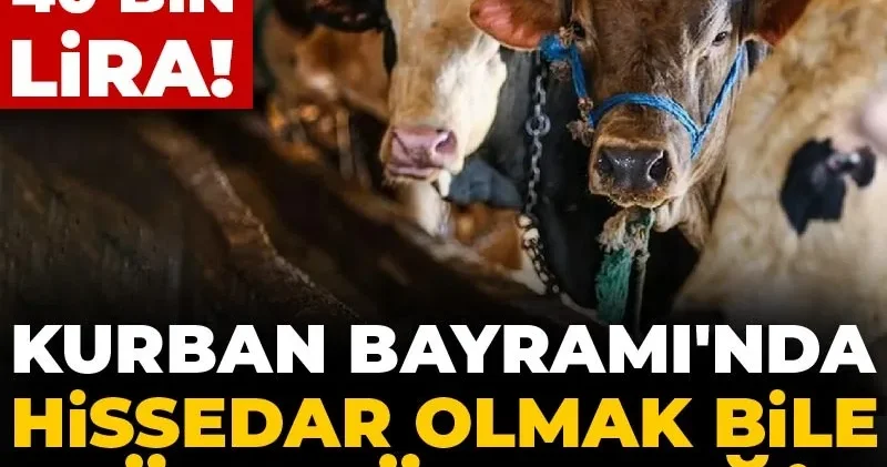 Kurban Bayramı nda hissedar olmak bile mümkün değil: Tek hisse 40 bin lira!