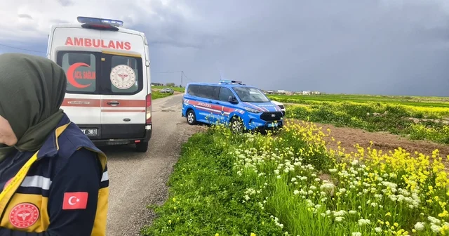 Diyarbakır da kaybolan 3 yaşındaki Yazgül için arama çalışması başlatıldı Diyarbakır Haberleri