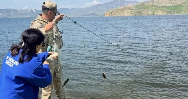 Şırnak ta yasak dönemde yakalanan balıklar doğaya kazandırıldı Şırnak Haberleri