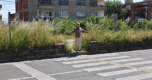 Nazilli Belediye Başkanı Tetik: Sorumlular görevini yapsın Aydın Haberleri