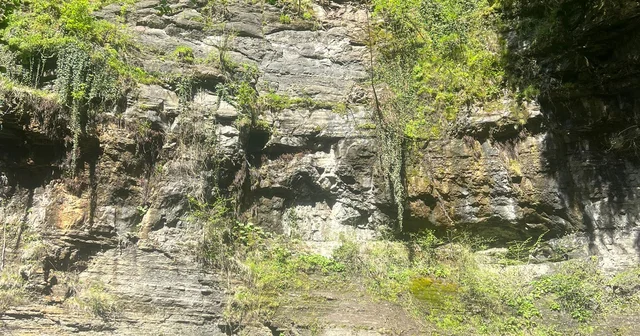 Gezmek için gittiği şelalede başına kaya parçası düşen Ogün hayatını kaybetti Samsun Haberleri
