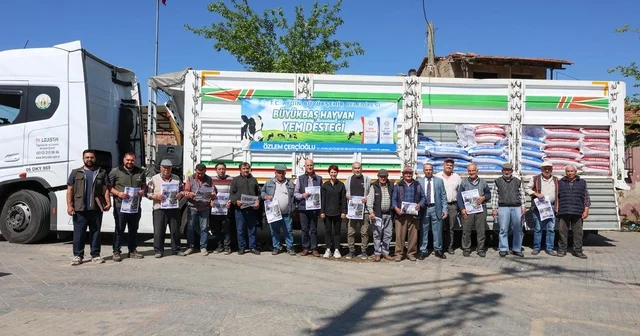 Aydın Büyükşehir den Germencik te küçük üreticilere yem desteği Aydın Haberleri