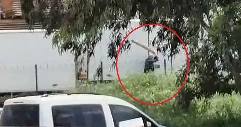 Tavuklarını yediği gerekçesiyle sokak köpeğini sopayla döven kişi gözaltında