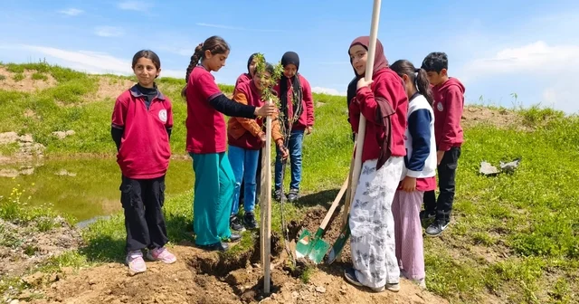 Batman da köy yolu güzergahına 1000 meyve fidanı dikildi Batman Haberleri
