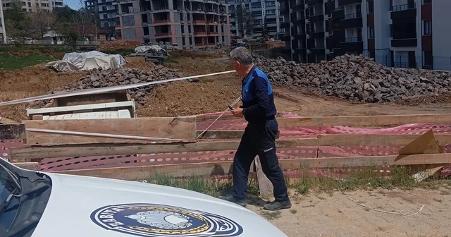 Tunceli zabıtasından çevre temizliği için denetim Tunceli Haberleri