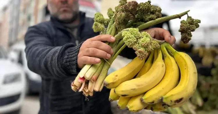 Fiyatı nerdeyse yarı yarıya düştü! Yayla muzu tezgaha çıktı