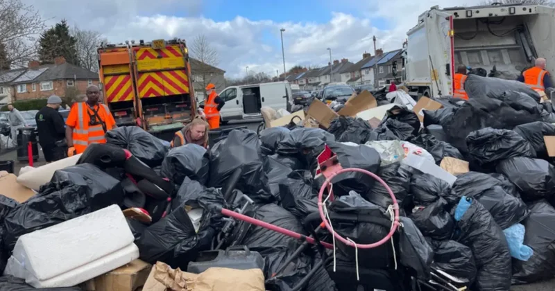 Bu grev şehri çöplüğe çevirdi: Köpek boyunda fareler sokaklarda geziyor Sözcü Gazetesi