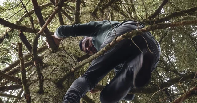 Artvin de 40 metrelik göknar ağacının tepesine takılan dronu böyle kurtardılar Artvin Haberleri