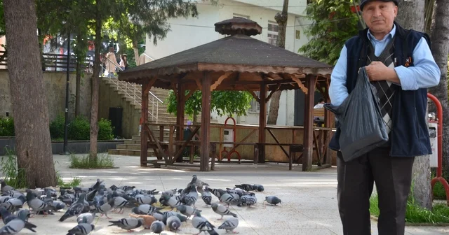 Bu bayramda eşini dostunu bıraktı, beslediği kuşlara koştu Kuşları besleyen Hüseyin Ortakaya: Burası küçük bir Sultan Ahmet Meydanı Bilecik Haberleri