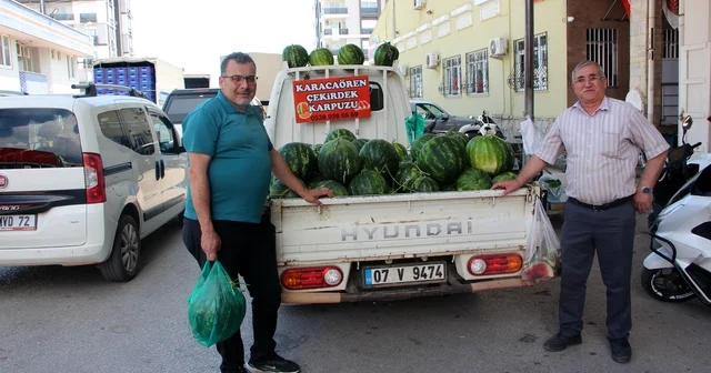 Fiyatı sorulmayan karpuzun hasadı başladı Antalya Haberleri
