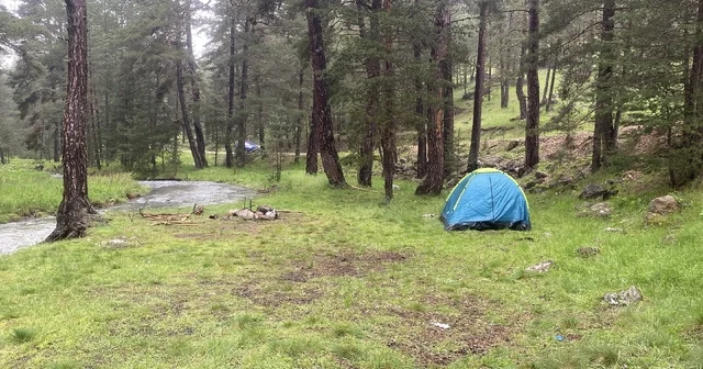 Piknik yaptıkları alana yıldırım düştü: 1 i ağır 3 yaralı Bolu Haberleri