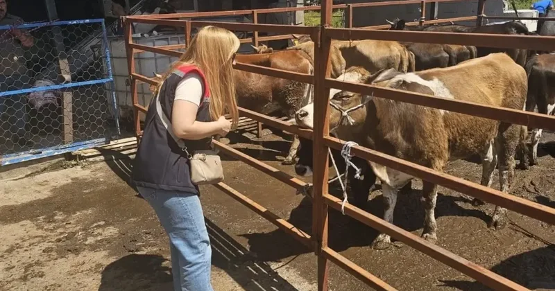 Aydın’da Kurban Bayramı denetimleri aralıksız sürüyor
