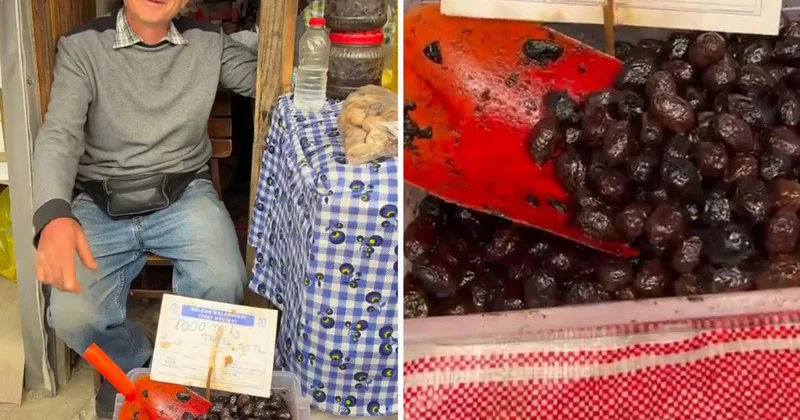 Zeytinin kilosunu 50 TL ye sattı