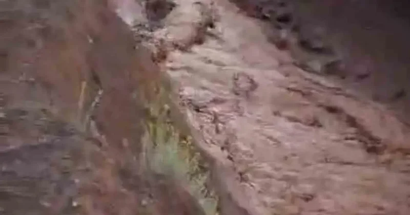 Saray ilçesinde sağanak yağış sele neden oldu