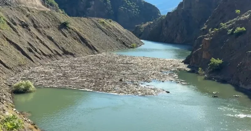 Artvin de kamyonet dereye düşmüştü! 14 üncü günde acı haber: Oğul ölü bulundu, baba aranıyor Sözcü Gazetesi