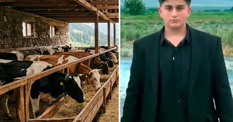 Iğdır da büyükbaş hayvanın darbesiyle ağır yaralanan kişi hayatını kaybetti