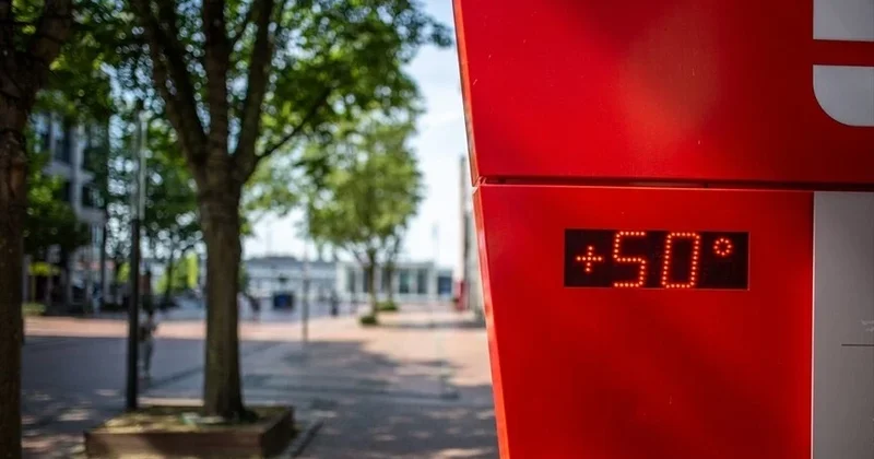 Avrupa da sıcaklık felaketi büyüyor... DSÖ, ölen kişi sayısını açıklayarak uyardı