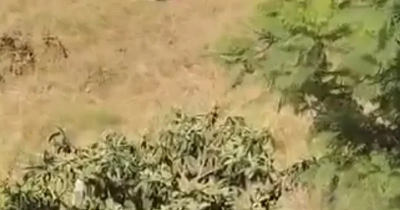 Sulama kanalına giren çocuğa şiddet: O anlar kamerada
