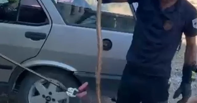 Park halindeki otomobile giren yılan paniğe neden oldu Malatya Haberleri Habertürk Yerel Haberler
