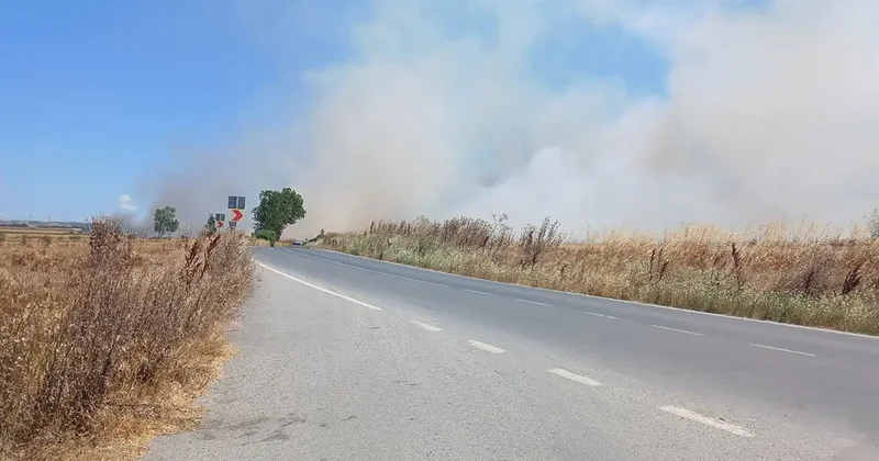 Silivri de korkutan yangın! Yerleşim yerleri tehdit altında