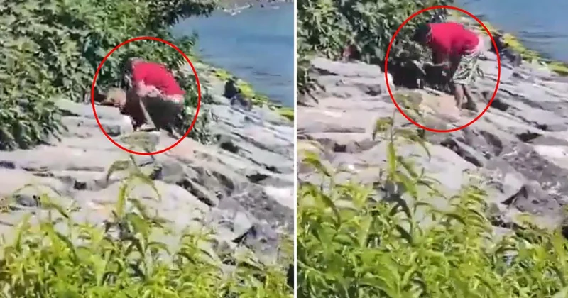 Avcılar sahilinde köpeğe şiddet uygulayan şahıs gözaltına alındı